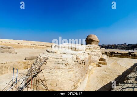 Vista posteriore della testa dell'iconica scultura monumentale, la Grande Sfinge di Giza, l'altopiano di Giza, il Cairo, Egitto Foto Stock