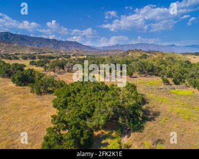 Prati e querce ondulati sotto i Monti Topatopa vicino a Ojai, California Foto Stock