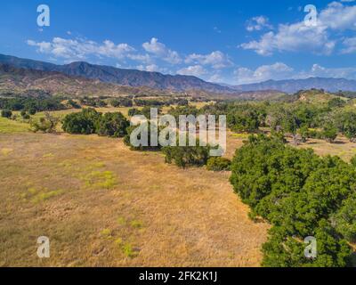 Prati e querce ondulati sotto i Monti Topatopa vicino a Ojai, California Foto Stock