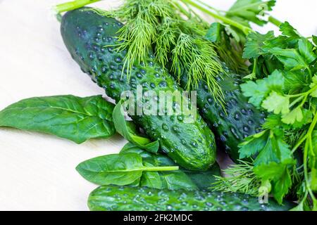 Cetrioli estivi verdi freschi con erbe dell'orto su sfondo chiaro in cucina. Foto Stock