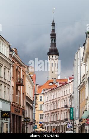 TALLINN, ESTONIA - 22 AGOSTO 2016: Case della città vecchia di Tallinn. Torre del Municipio sullo sfondo. Foto Stock