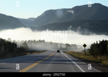 Nebbia di mattina presto che sale sull'autostrada in Terranova Foto Stock