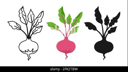 Set di cartoni animati di barbabietola vegetale, icona a linea, stile glifo nero. Barbabietole cibo organico. Raccolta vegetale rurale rosso sano. Illustrazione vettoriale dei concetti di agricoltura di giardino disegnati a mano Illustrazione Vettoriale