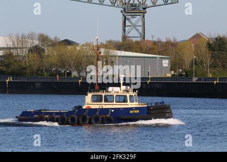 Biter, un Damen Stan 1 TUG gestito da Clyde Marine Services, tornando alla sua base a Victoria Harbour, dopo aver assistito PS Waverley in Garvel Dock. Foto Stock