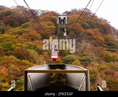 Nikko, Giappone - 23 ottobre 2016: Colori autunnali alla pista Akechidaira nel Parco Nazionale Nikko Foto Stock