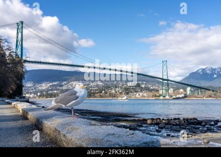 Lions Gate Bridge e Stanley Park Seawall in giornata di sole. Vancouver, British Columbia, Canada. Foto Stock