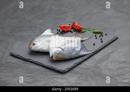 Pomfrot bianco crudo, disposto su un foglio di grafite a forma rettangolare con fette di pomodoro, pepe nero e foglie di curry e posto su una grafite c Foto Stock