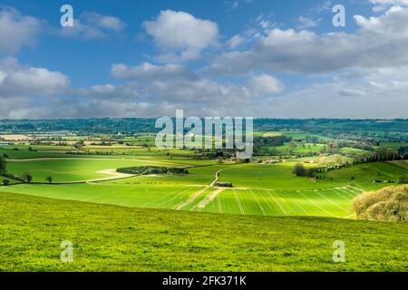 Vista su Cranborne Chase. Foto Stock