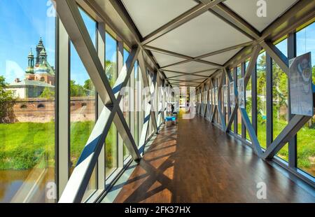 Poznan, Polonia - 6 giugno 2015: Brama Poznania - Poznan Gate Museum, museo interattivo di storia di Ostrow Tumski sulla storica isola di Ostrow Tumski con gatto Foto Stock