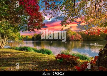 Scena autunnale al Nottinghamshire Park Foto Stock