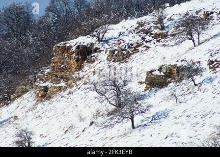 Paesaggio di montagna. Rocce innevate sulla pianta centrale, sulla facciata anteriore, sulla foresta posteriore invernale. Lago-Naki, il principale crinale caucasico, Russia Foto Stock