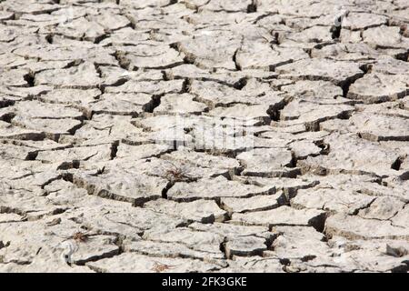 Il letto di fiume asciugato che mostra crepe durante una siccità Foto Stock