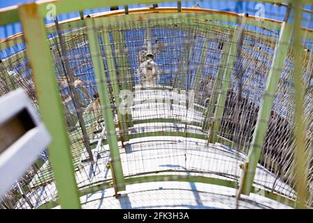 Grid.Fragment di colonna di raffineria di petrolio astratto (torre di distillazione). Impianto di lavorazione dell'olio. Contesto industriale. Foto Stock