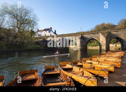 Durham, contea di Durham, Inghilterra. Barche a remi ormeggiate fianco a fianco sul fiume Wear sopra il ponte Elvet, vogatore solitario che si dirige a valle. Foto Stock