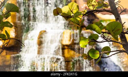 L'acqua scorre lungo una cascata artificiale in un elegante complesso alberghiero Foto Stock