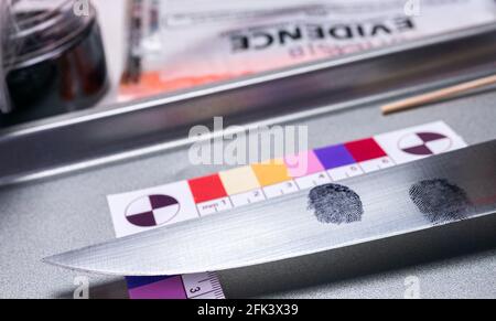 Indagine della polizia sulle impronte digitali su un coltello, immagine concettuale Foto Stock