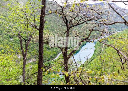 Tranquillo paesaggio del tranquillo fiume Soca (Isonzo) che scorre attraverso la foresta in valle. Vista dal Monte Sabotin, Slovenia Foto Stock