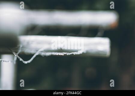 Gocce di pioggia trattenute dalla tensione superficiale su un clothesline rurale Foto Stock