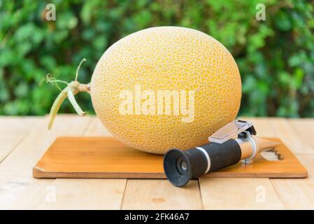 Melone giallo galia fresco in piatto Foto Stock