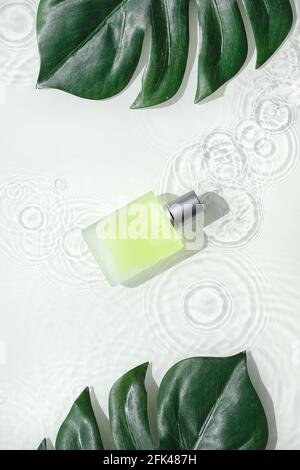 Fondo cosmetico per la cura della pelle, schizzi d'acqua. Fiala trasparente in vetro con prodotto liquido giallo verde e foglie esotiche di monstera. Luce solare diretta Foto Stock