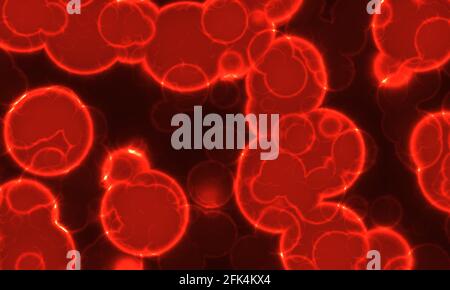 Sangue medico di fondo. Globuli rossi. Foto Stock