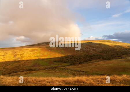 In avvicinamento Black-a-Tor Copse Foto Stock