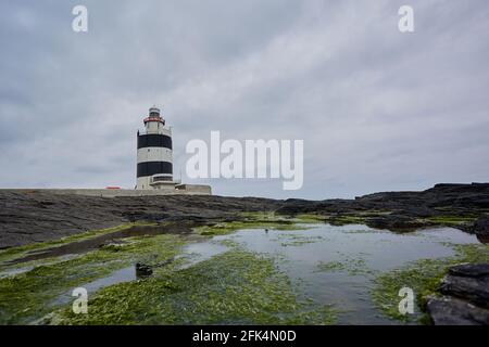 antico faro circondato da rocce con muschio e riflessi in acqua. Wexford, Irlanda. Foto Stock