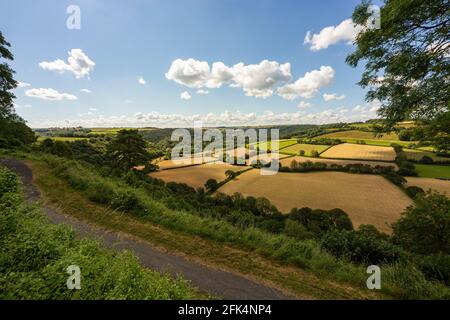 Vista estiva guardando attraverso la Torridge Valley verso RHS Rosemoor e Beaford con campi, nuvole e cielo blu, Great Torrington, Devon, Inghilterra. Foto Stock