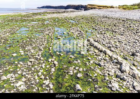 Geological strati di roccia a Kilve Beach, Somerset REGNO UNITO - parte di un grande sito di particolare interesse scientifico (SSSI) Foto Stock