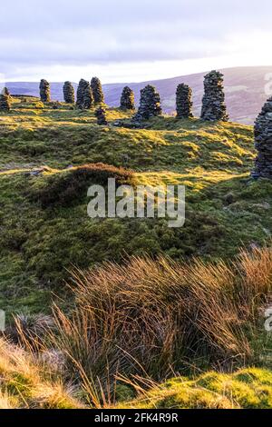 Cairns (conosciuto localmente come curricks) costruito in pietra di muro quarried sulla cima di Talkin cadde a 381 metri sulla Pennines Nord a Talkin, Cumbria UK Foto Stock