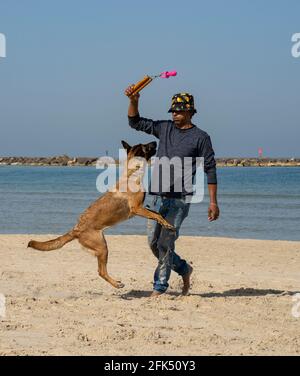 Tel Aviv, Israele - 15 aprile 2021: Un uomo che esercita il suo cane sulla spiaggia in una giornata limpida e soleggiata. Foto Stock