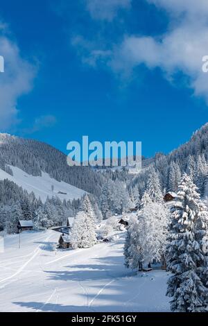 Svizzera, Vaud, Waadt, Hiver, inverno, neige, Schnee, Snow, Orgevaux, Les Avents, montagnes, Berge, montagne, maisons, Hauser, Case, chalet *** L Foto Stock