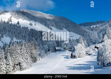 Svizzera, Vaud, Waadt, Hiver, inverno, neige, Schnee, Snow, Orgevaux, Les Avents, montagnes, Berge, montagne, maisons, Hauser, Case, chalet *** L Foto Stock