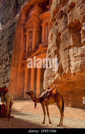 Asia occidentale, Levante, Penisola arabica, Jordanien, Giordania, Petra, il Tesoro, Foto Stock