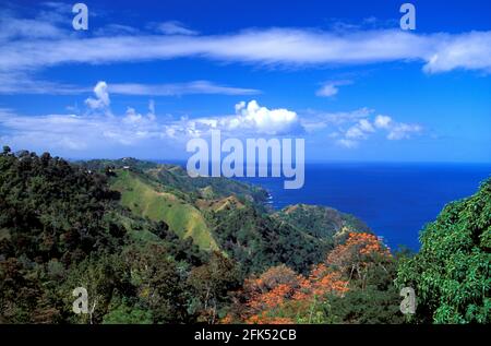 Vista sulla Baia di Castara, Tobago, Caraibi Foto Stock