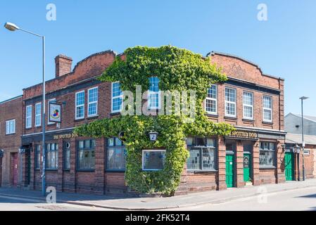 Il famoso pub irlandese Spotted Dog a Warwick Street, Digbeth, Birmingham, Regno Unito Foto Stock