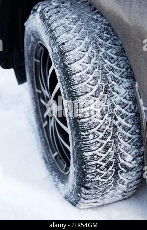 Chiocciate la ruota invernale con punte in ferro per terreni fangosi e innevati. Messa a fuoco superficiale. Foto Stock