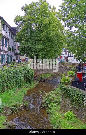 Ortsansicht, Fluß, Erft Foto Stock