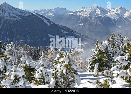 Neve fresca sugli alberi e la stazione sciistica di Nendaz sullo sfondo nel Cantone Vallese del sud Svizzera Foto Stock