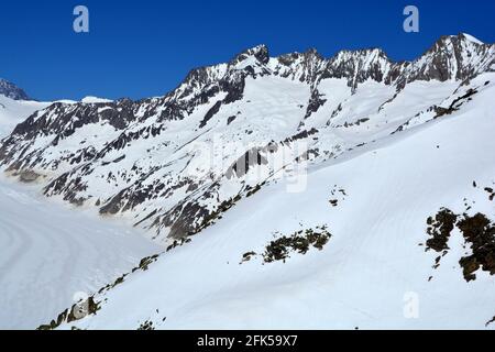 Fiescher Gabelhorn (centro) e Wannenhorn (a destra) sopra il ghiacciaio di Aletsch nelle Alpi Bernesi, Svizzera Foto Stock