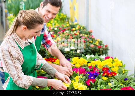 Fioristi o giardinieri in negozio di fiori, serra o vivaio Foto Stock