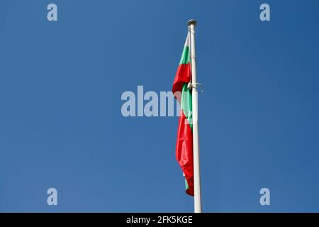 Bandiera della Bulgaria che sventolava su un flagpole contro il cielo blu Foto Stock