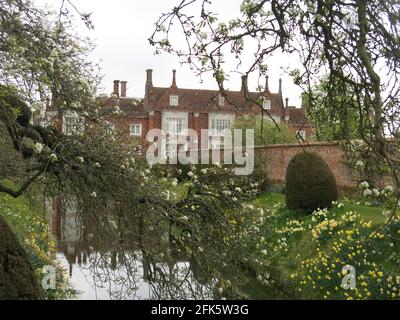 Helmingham Hall in primavera: Fioritura sugli alberi e narcisi che coprono le rive del giardino fossato fuori dal giardino murato. Foto Stock