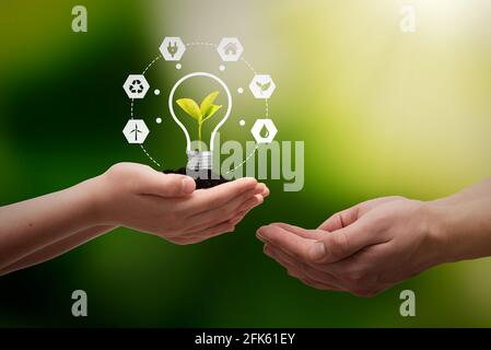 Concetto di fonti energetiche sostenibili con lampadina e impianto Foto Stock