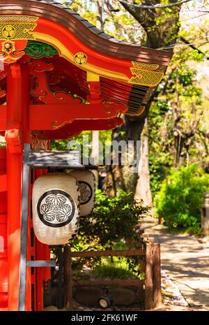 tokyo, giappone - aprile 09 2021: Lanterne giapponesi di carta chochin appese sulla porta del vermiglio karamon adornate con lo stemma dello shog Tokugawa Foto Stock