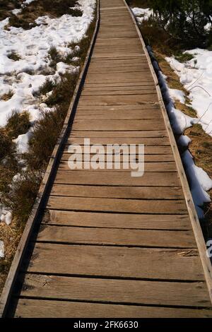 Immagine verticale di una passerella in legno in un campo coperto nella neve sotto la luce del sole Foto Stock