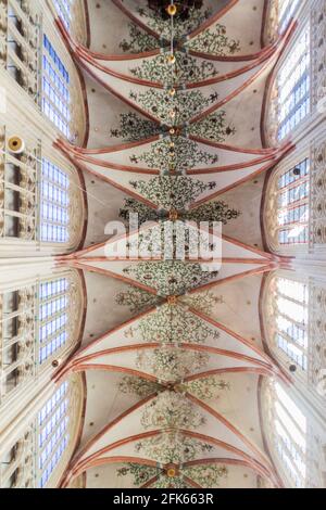 DEN BOSCH, PAESI BASSI - 30 AGOSTO 2016: Interno della cattedrale gotica di San Giovanni a Den Bosch, Paesi Bassi Foto Stock