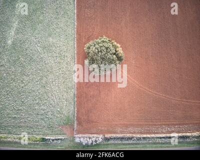 Agricoltura aerea terra e paesaggio agricolo, campo di coltura e piste con uno sfondo verde e marrone arrugginito, Victoria, Australia. Foto Stock