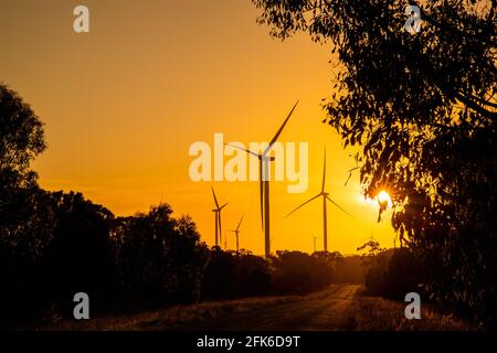 Turbine eoliche che generano elettricità, Australia Foto Stock