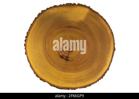 Texture di legno closeup di legno rustico tagliere da vero albero. Tagliere a fette con corteccia isolata su sfondo bianco Foto Stock